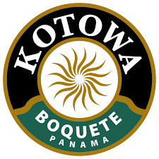Kotowa